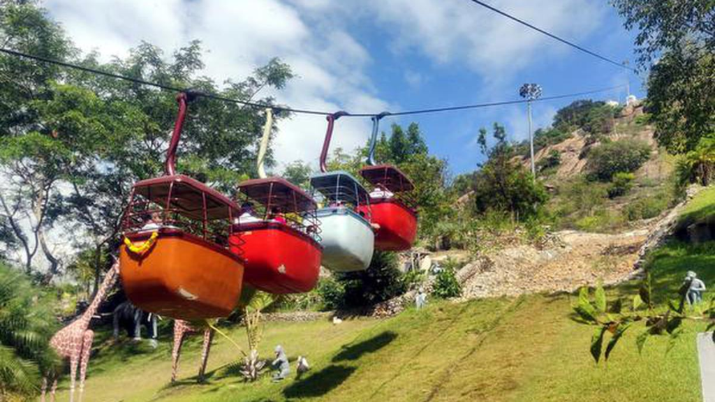 A view of a cable car system transporting passengers up a hill, surrounded by green trees and a clear blue sky.